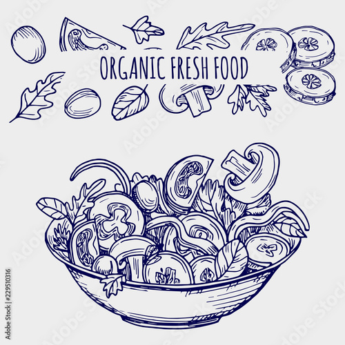Hand drawn salad bowl and vegetables - ballpoint pen sketch healhty food vector illustration