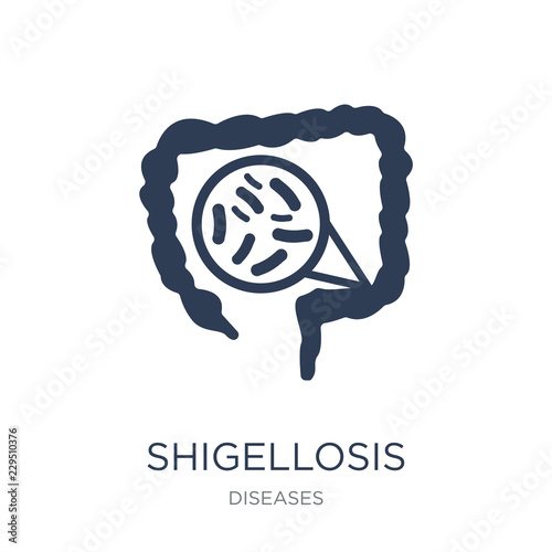 Shigellosis icon. Trendy flat vector Shigellosis icon on white background from Diseases collection