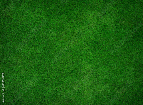 Green grass ultra hq texture. 
