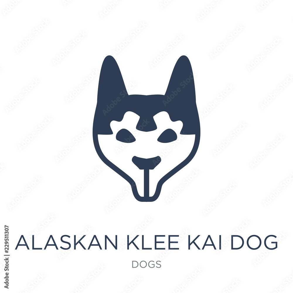 Alaskan Klee Kai dog icon. Trendy flat vector Alaskan Klee Kai dog icon on white background from dogs collection Alaskan Klee Kai dog icon. Trendy flat vector Alaskan Klee Kai dog icon on white background from dogs collection