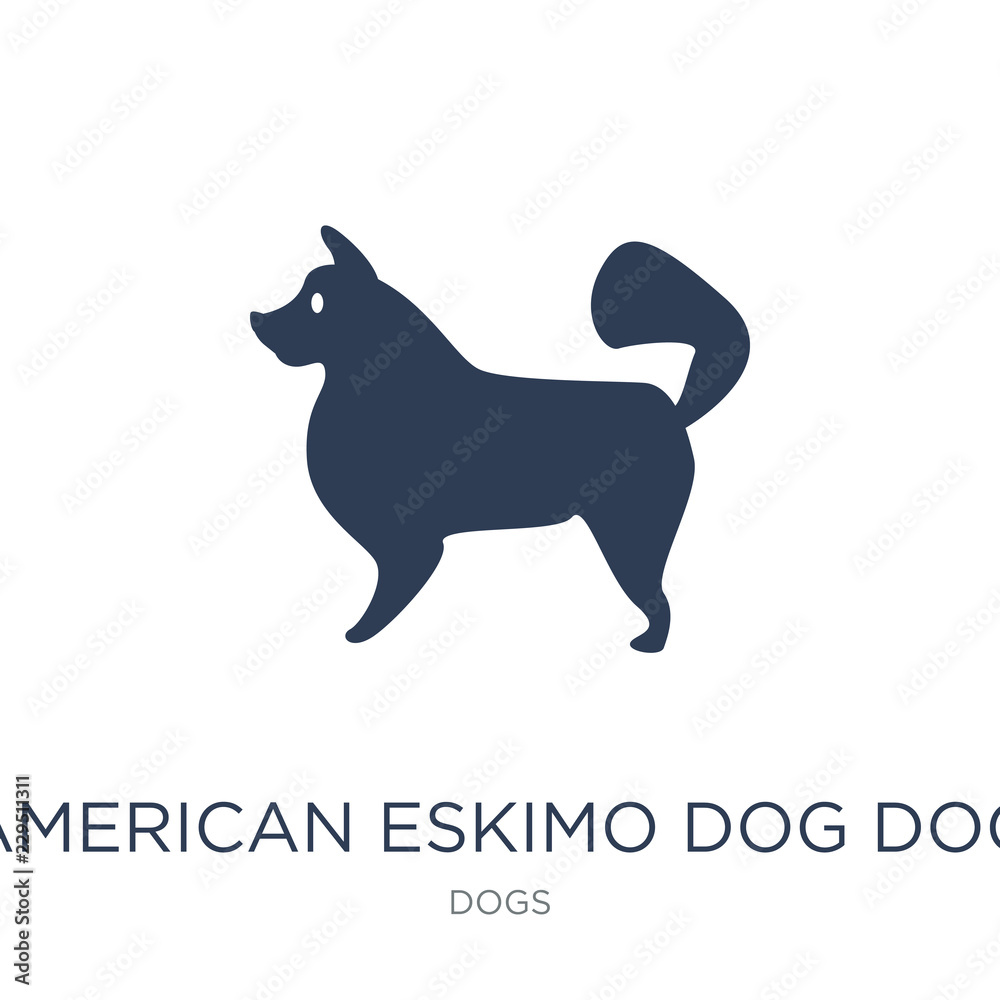 American Eskimo Dog dog icon. Trendy flat vector American Eskimo Dog dog icon on white background from dogs collection