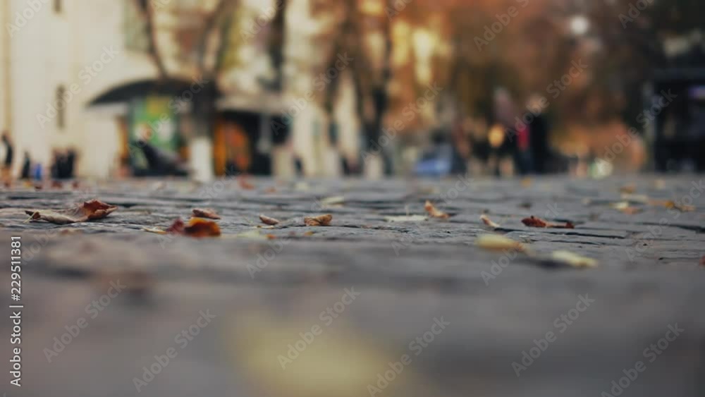 People walk in the autumn pedestrianized street. People walk in the autumn pedestrianized street.