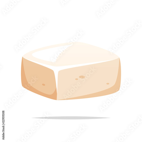 Piece of tofu vector isolated