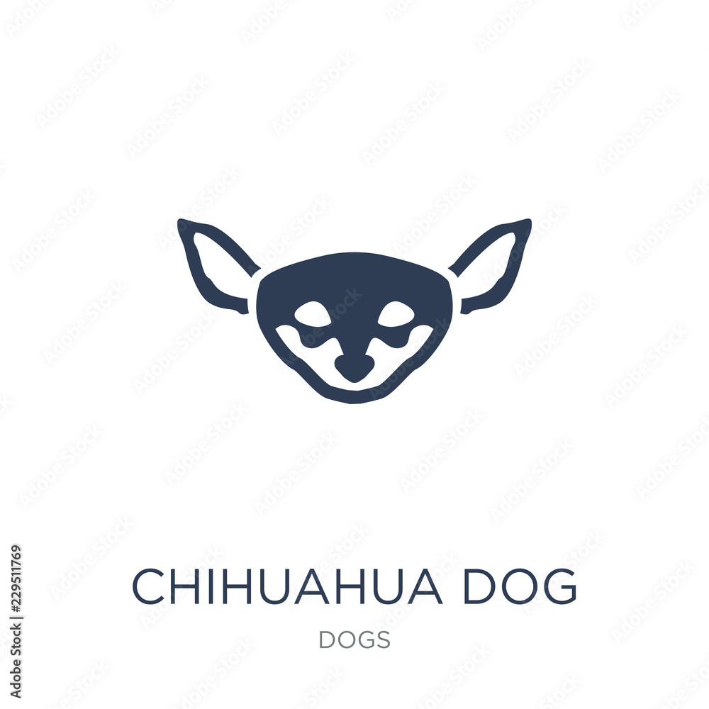 Chihuahua dog icon. Trendy flat vector Chihuahua dog icon on white background from dogs collection Chihuahua dog icon. Trendy flat vector Chihuahua dog icon on white background from dogs collection