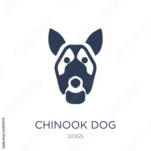 Chinook dog icon. Trendy flat vector Chinook dog icon on white background from dogs collection