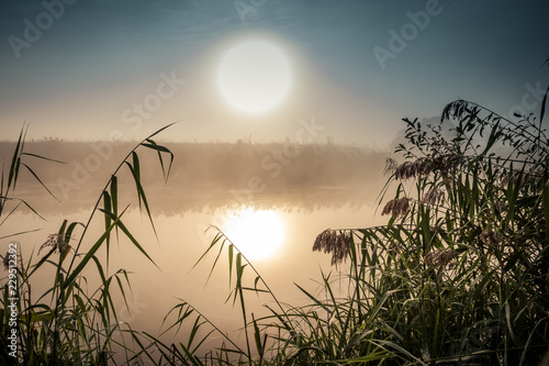 Incredible mystical morning landscape with rising sun, tree, reed and fog over the water.