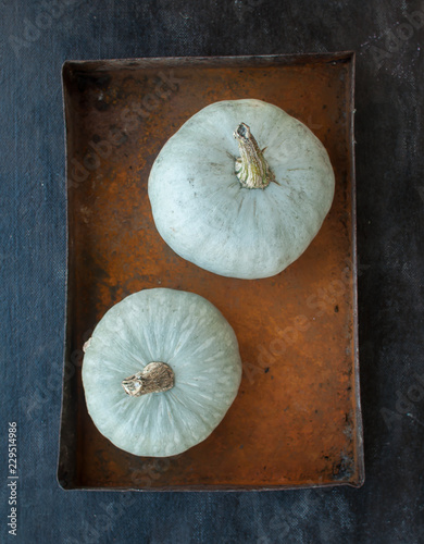 Pumpkins  in a metal box on a dark background
