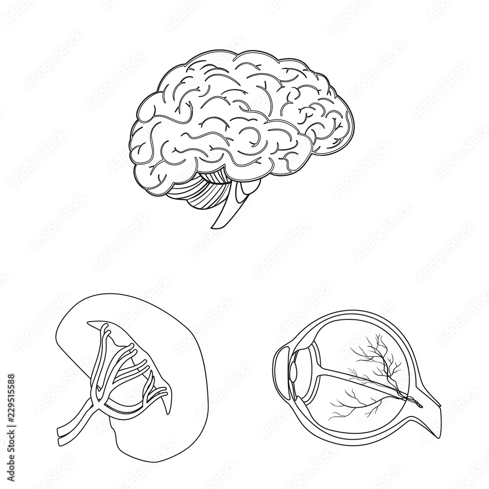 Vector design of body and human symbol. Set of body and medical stock symbol for web. Vector design of body and human symbol. Set of body and medical stock symbol for web.