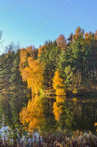 Autumn landscape with colorful forest. Colorful foliage over the lake with beautiful forests in red and yellow colors. Autumn forest is reflected in the water.
