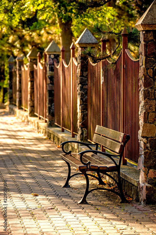 park bench in a city in autumnal sun