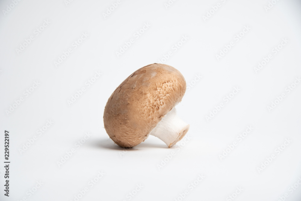 Champignon und weißer Hintergrund Champignon und weißer Hintergrund