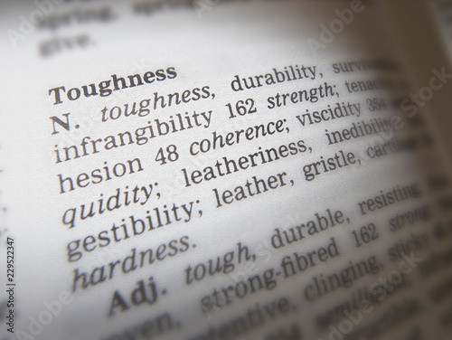 Valokuva CLOSE UP OF DICTIONARY PAGE SHOWING DEFINITION OF THE WORD TOUGHNESS
