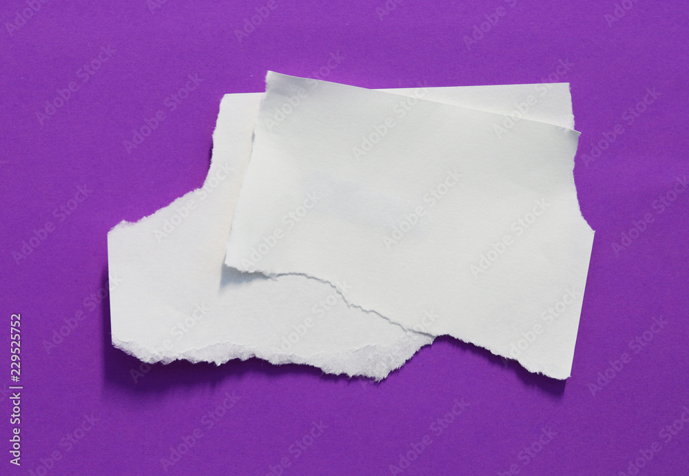 pieces of torn paper texture background, copy space. pieces of torn paper texture background, copy space.