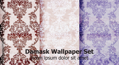 Vintage damask pattern set Vector. Luxury ornament background decoration. Pas...