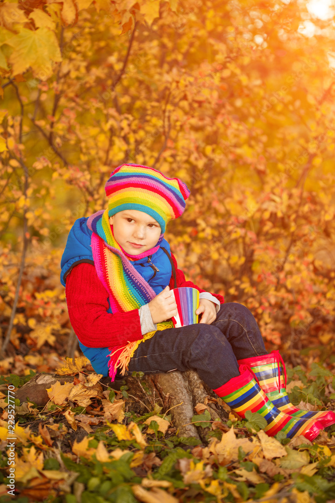 Child in autumn park. Happy adorable boy with fall leaves. The concept of childhood, family and kid laughs outdoors.
Child in autumn park. Happy adorable boy with fall leaves. The concept of childhood, family and kid laughs outdoors.