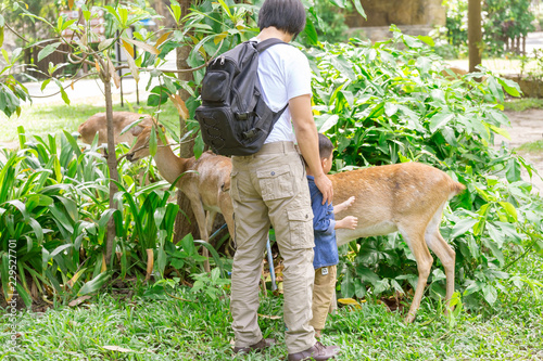 male tourist  with deer. Tourism and travel concept