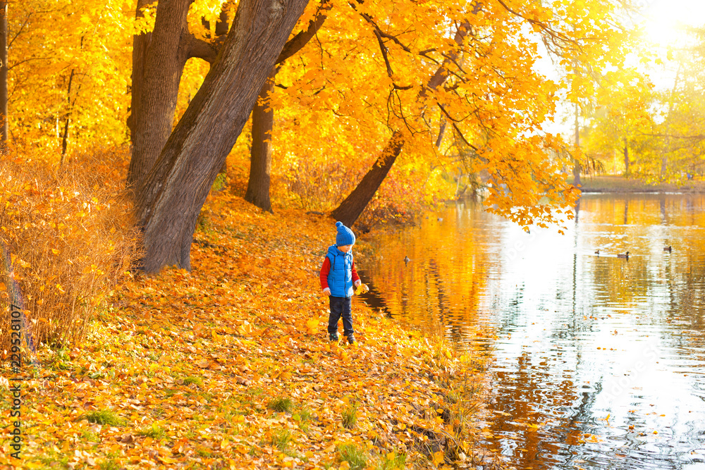 Child in autumn park. Happy adorable boy with fall leaves. The concept of childhood, family and kid laughs outdoors. 
