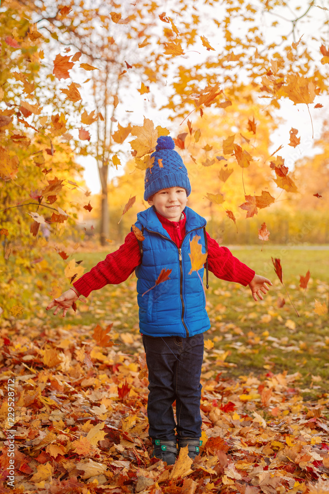 Child in autumn park. Happy adorable boy with fall leaves. The concept of childhood, family and kid laughs outdoors.
Child in autumn park. Happy adorable boy with fall leaves. The concept of childhood, family and kid laughs outdoors.
