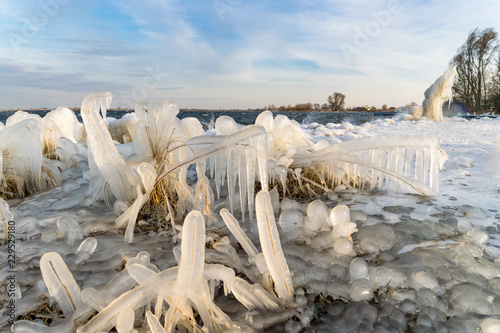 Icicles on the shore of a lake during a cold spell in winter