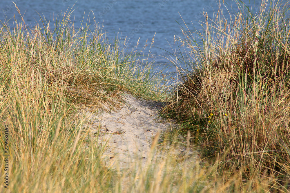 Düne vor der Ostsse Düne vor der Ostsse