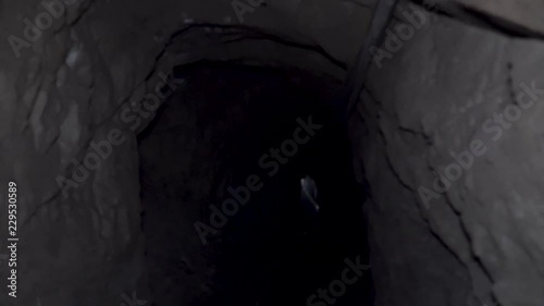 a guy with a torch goes to the cave