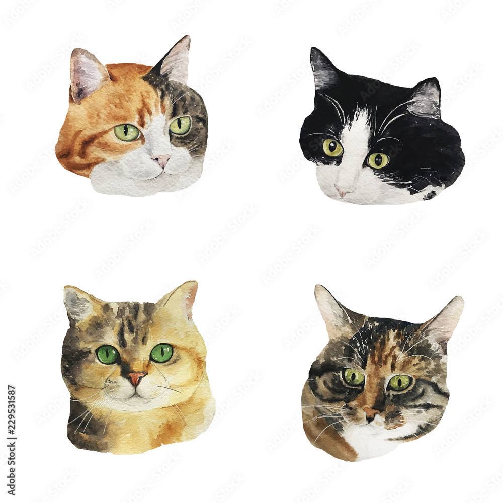 Watercolor collection of cute cat