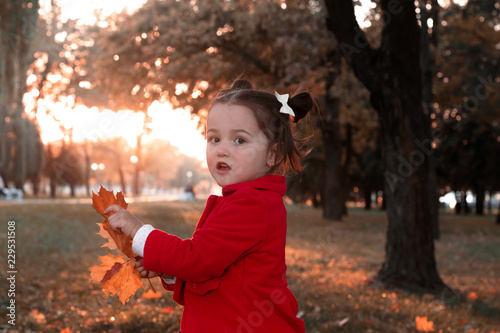 Little sweet girl playing with leaves in autumn park. © greenoline