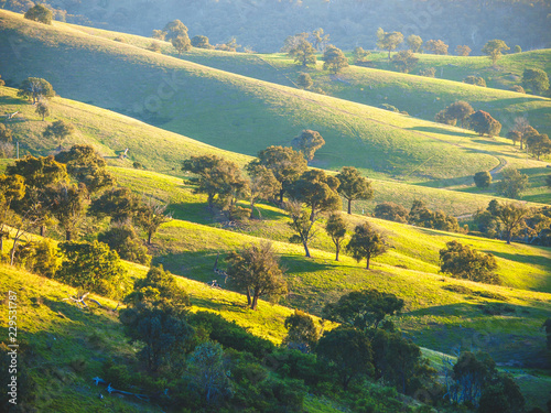 Green Rolling Hills