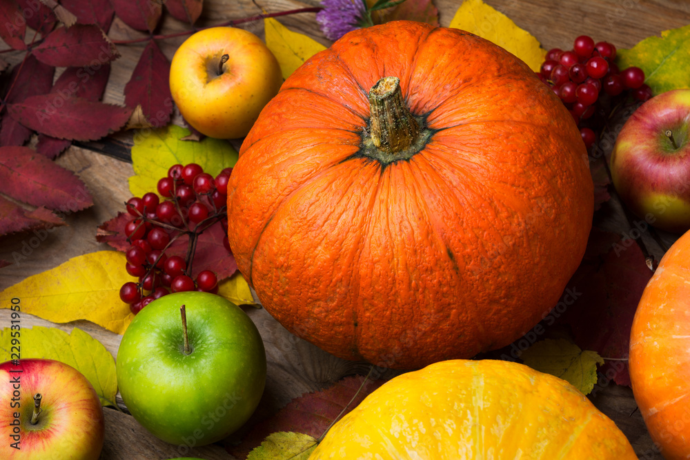 Fall concept with pumpkin, apple and red berry Fall concept with pumpkin, apple and red berry