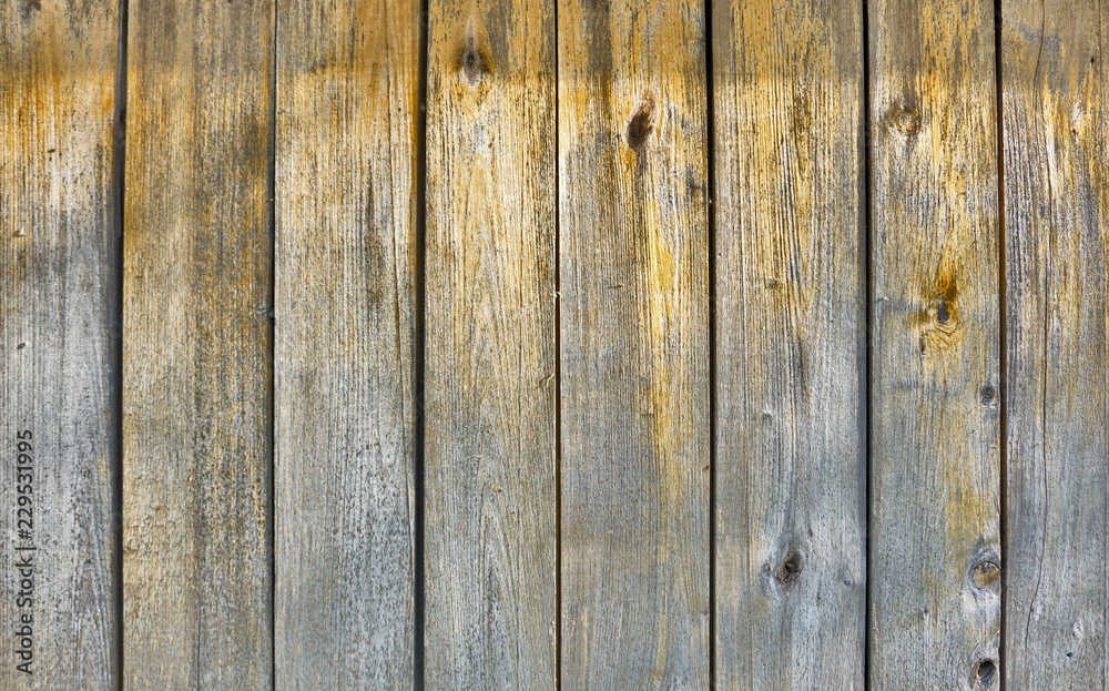 Naklejka premium Vertical vintage wooden fence. Empty background of wooden lacquered panels with iron circles on the surface.