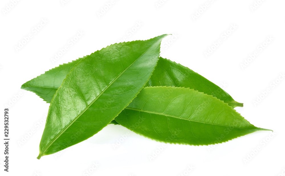 Obraz premium Green tea leaf isolated on white background