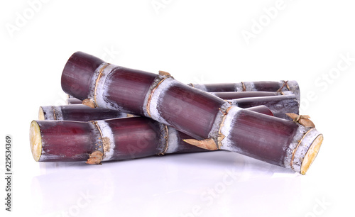 sugarcane isolated on white backgroun