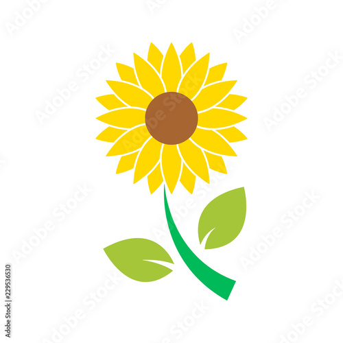 sun flower icon isolated vector