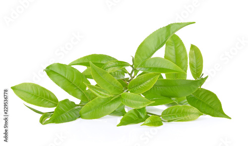 Green tea leaf on white background