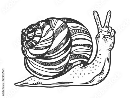 Fantastic fabulous snail with human hand instead head animal engraving vector illustration. Scratch board style imitation. Black and white hand drawn image.