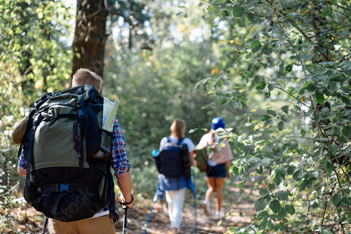 Backshot of Group of friends having a walk with nordic sticks on hike in the forest