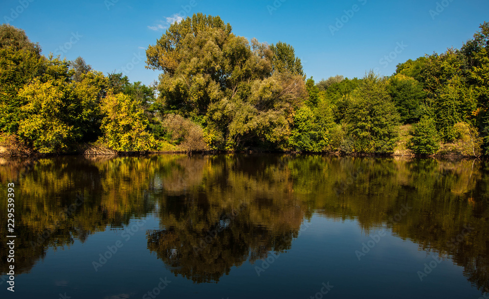 trees reflected in the river