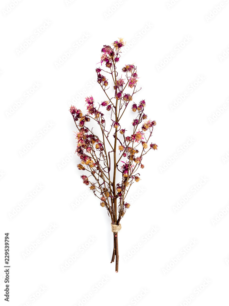 Top view bouquet of dried and wilted red Gypsophila flowers isolate on white background