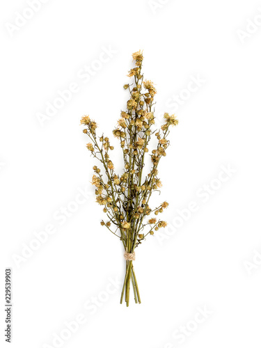 Top view bouquet of dried and wilted yellow Gypsophila flowers isolate on white background