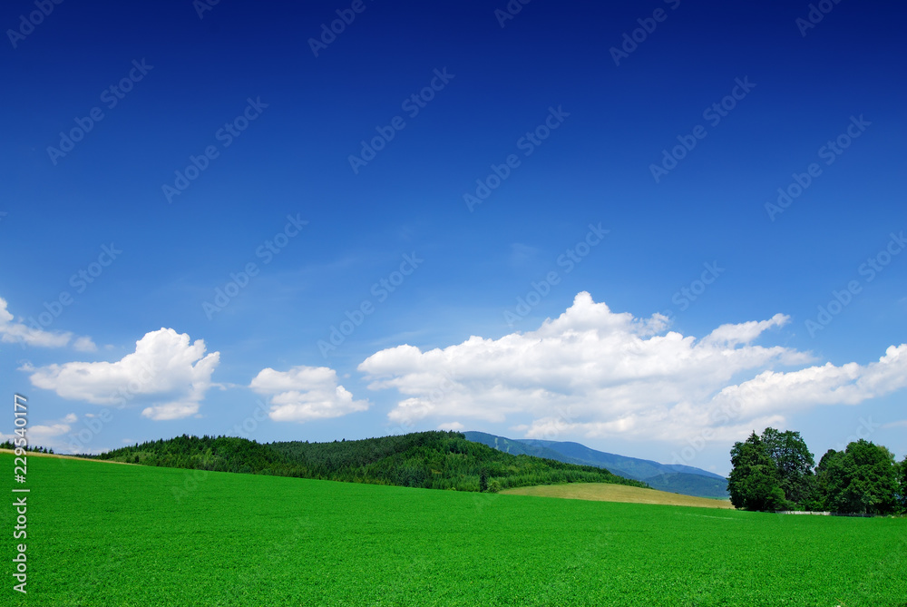 Mountain landscape, view of green rolling fields Mountain landscape, view of green rolling fields