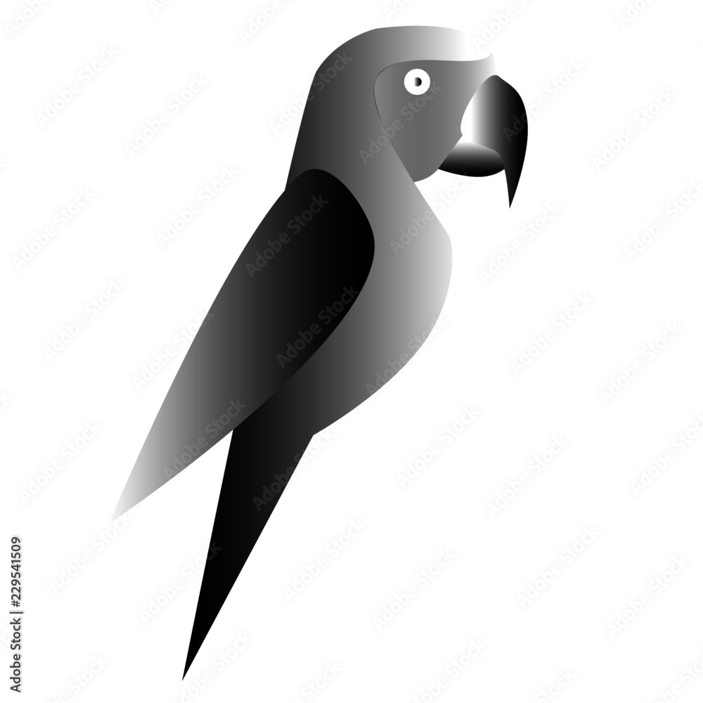 Fototapeta premium Beautiful parrot in black and white colors. Vector