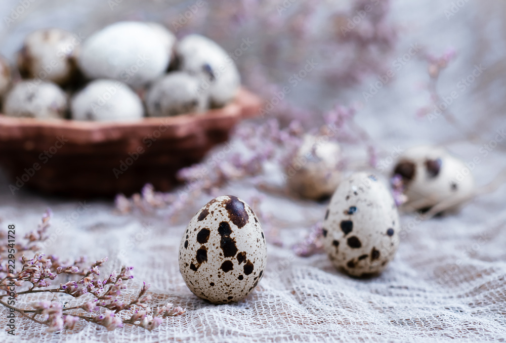 Quail egg.Easter.