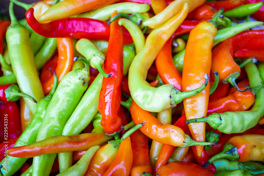 multicolor peppers. hot chili pepper  background