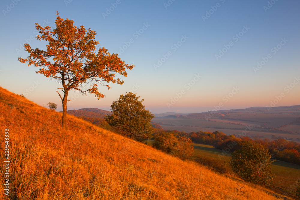 Fototapeta premium Morning in Central Bohemian Uplands, Czech Republic.