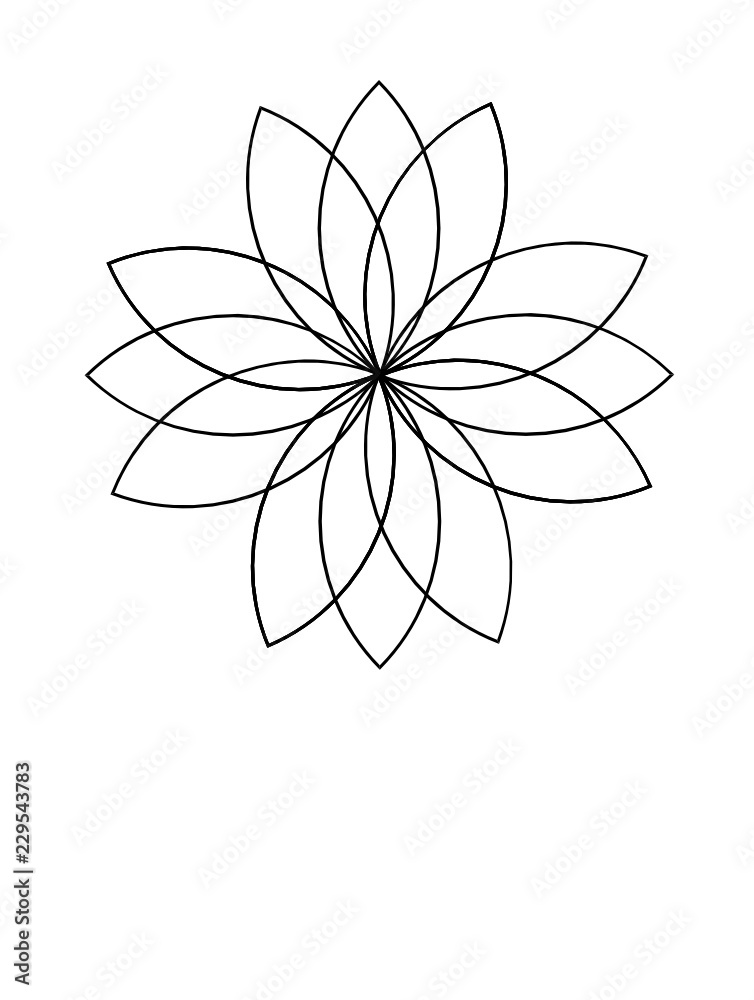 Flower Shape Geometric Pattern Flower Shape Geometric Pattern