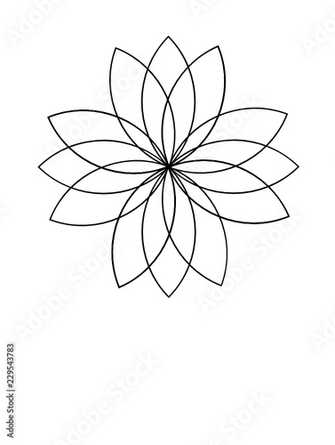 Flower Shape Geometric Pattern