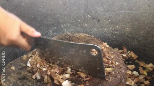 Chopped banana tree for animal feed.