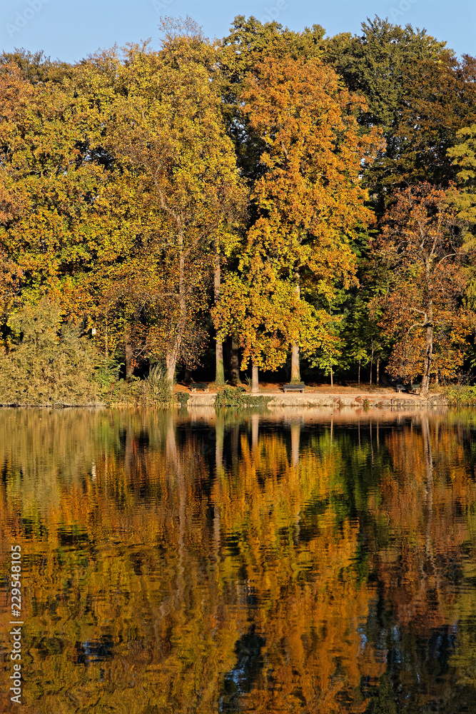 Couleurs d'automne sur le lac du Parc de la Tete d'Or