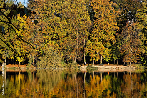 Fototapeta Naklejka Na Ścianę i Meble -  Couleurs d'automne au Parc de la Tete d'Or