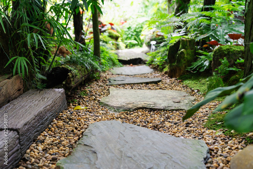 Stone walkway in garden step stone in gravel